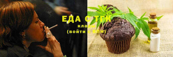 мдпв Новозыбков