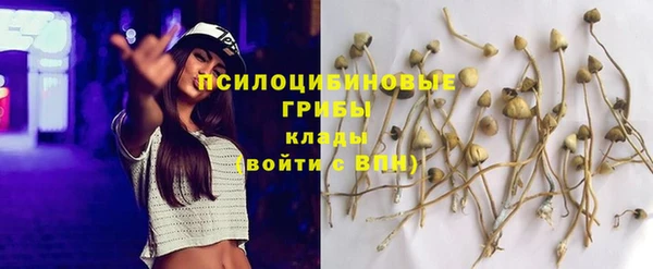 мдпв Новозыбков