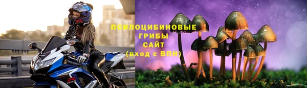 эйфоретик Новодвинск