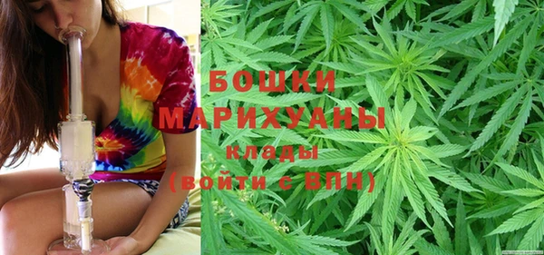 мдпв Новозыбков