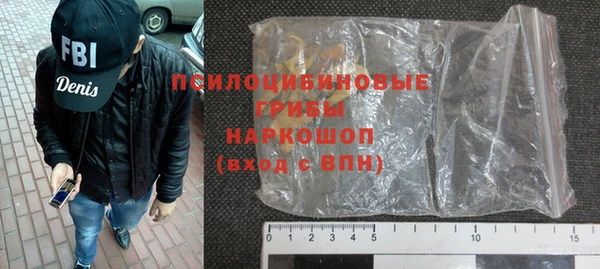 мдпв Новозыбков