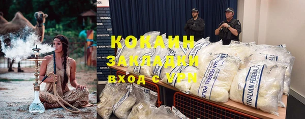 мдпв Новозыбков