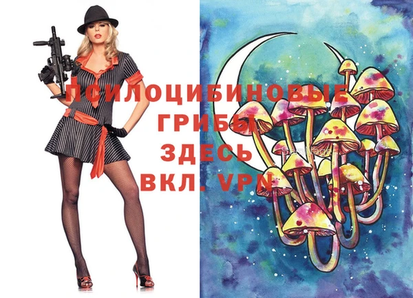 эйфоретик Новодвинск