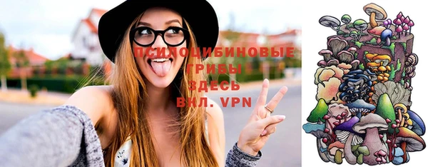 эйфоретик Новодвинск
