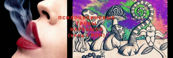 мдпв Новозыбков